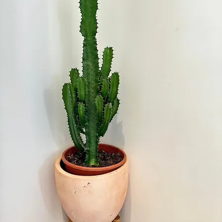 Maison De Confort A Et A 10 Minutes A Pied De La Ferienhaus Cannes