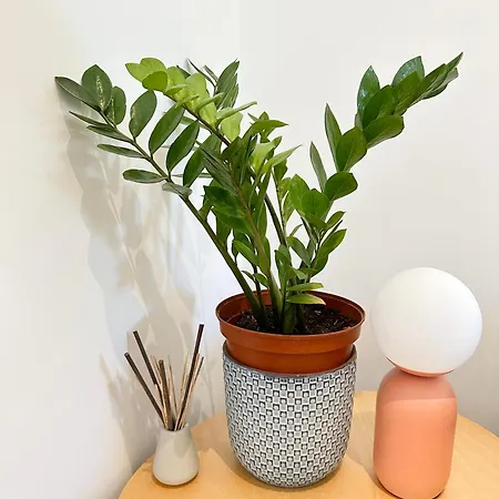 Maison De Confort A Et A 10 Minutes A Pied De La *